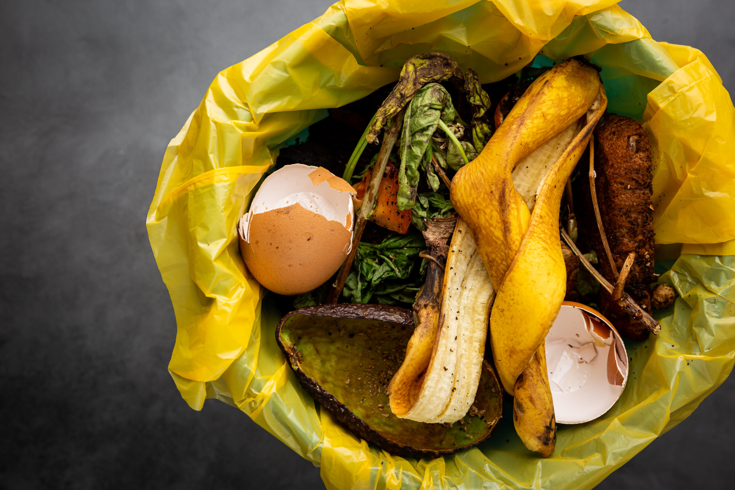 Organic food wastes