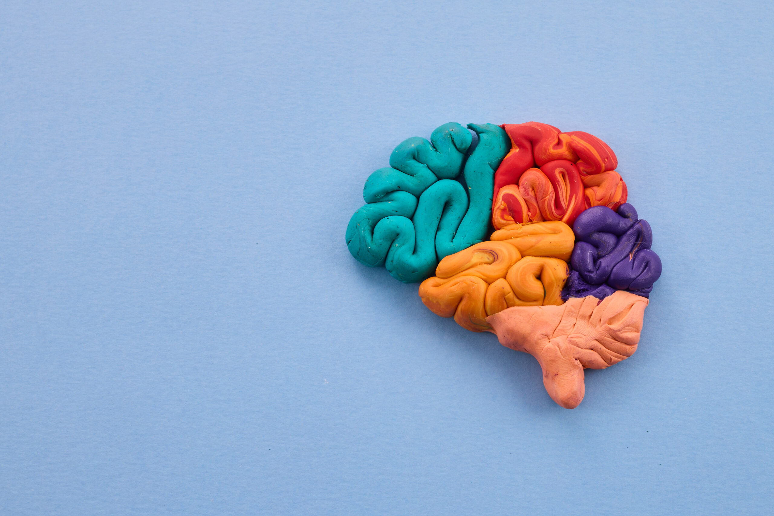 Mental health support and autistic brain and autism disorder symptoms or Asperger syndrome