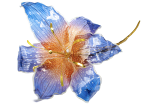William Amor, upcycling artist, upcycled flower creation for Spring Summer 2025 collection by Donatella Versace, janvier 2025, Milan. William Amor ne se contente pas de recycler : il métamorphose. Ses créations sont le fruit d'un travail méticuleux, où chaque détail est pensé pour transformer les déchets en pièces uniques, rappelant que la valeur d'un objet ne réside pas dans sa matière première mais dans la façon dont il est sublimé.